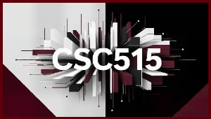 CSC515