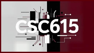 CSC615